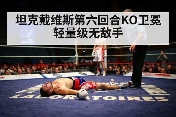 坦克戴维斯第六回合KO卫冕 轻量级无敌手